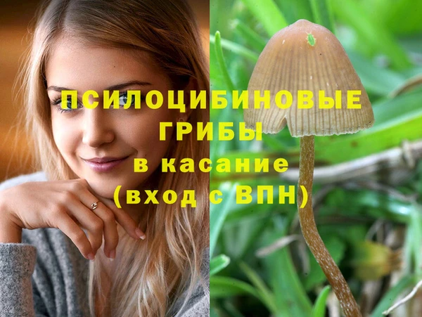 мескалин Балахна