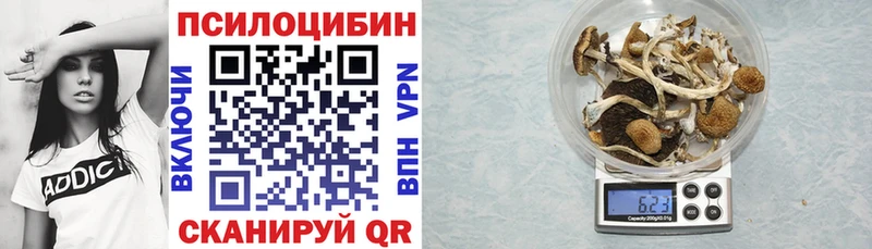 Галлюциногенные грибы прущие грибы  Губаха 